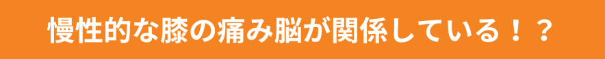 慢性的な膝の痛みは脳が関係している！？